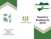 Concurso de dibujo &#039;Nuestra Andalucía 2019&#039;